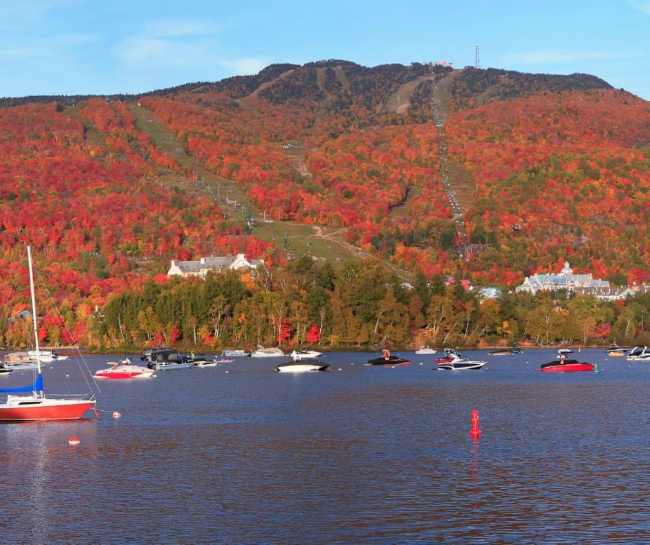 Amazing Lakemountain View 5Min To Tremblant 491 Mont-Tremblant Extérieur photo